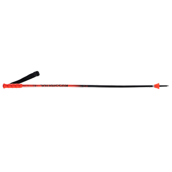 Zjazdové palice Rossignol Hero GS-SG Junior - 2024/25