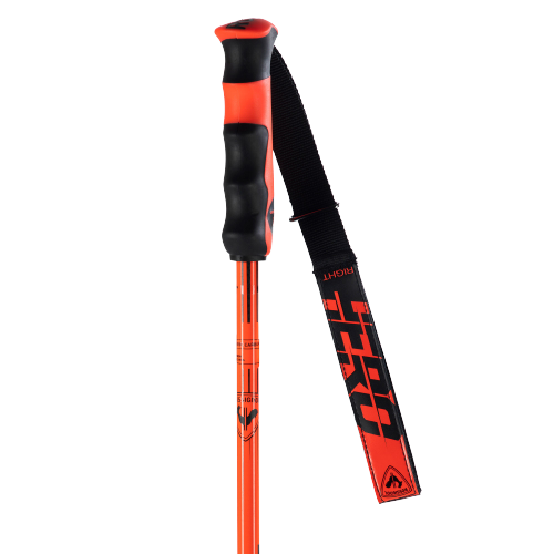 Zjazdové palice Rossignol Hero Carbon - 2024/25